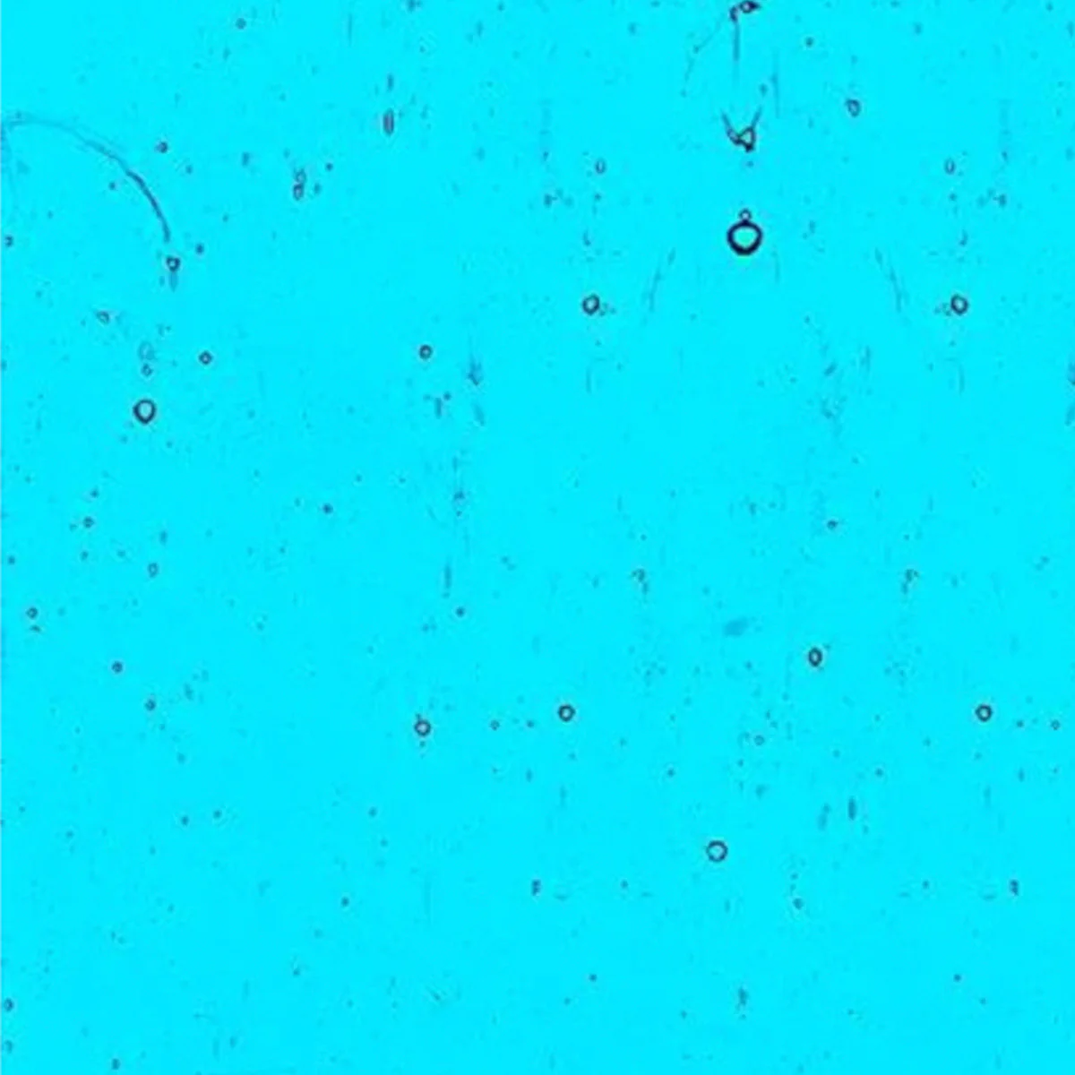 Light Turquoise Blue
