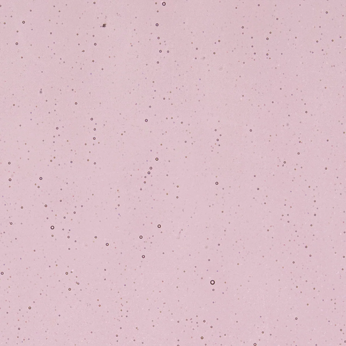 Light Violet, 2mm - Image 2