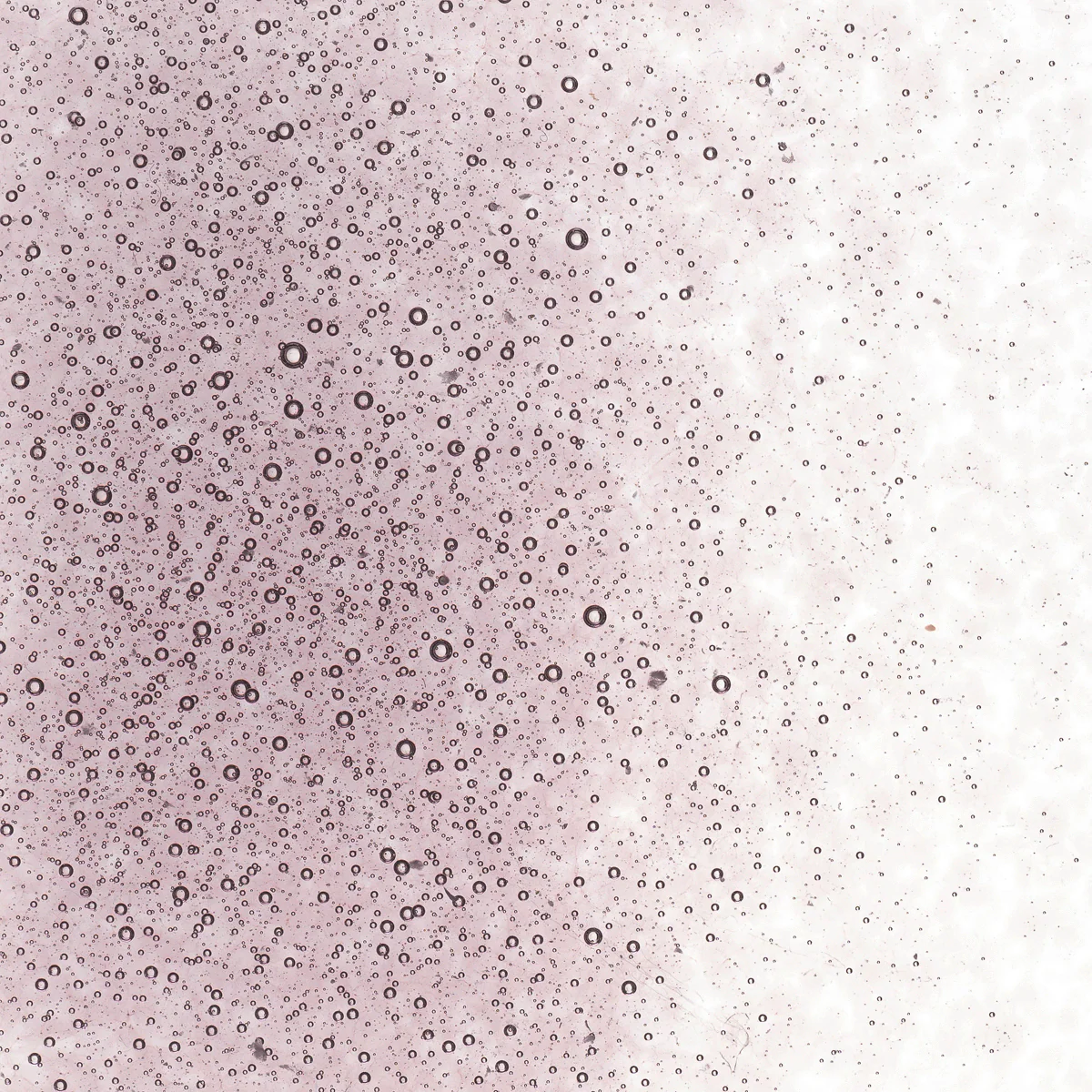 Light Violet Transparent, Fine, 1 lb. - Image 2