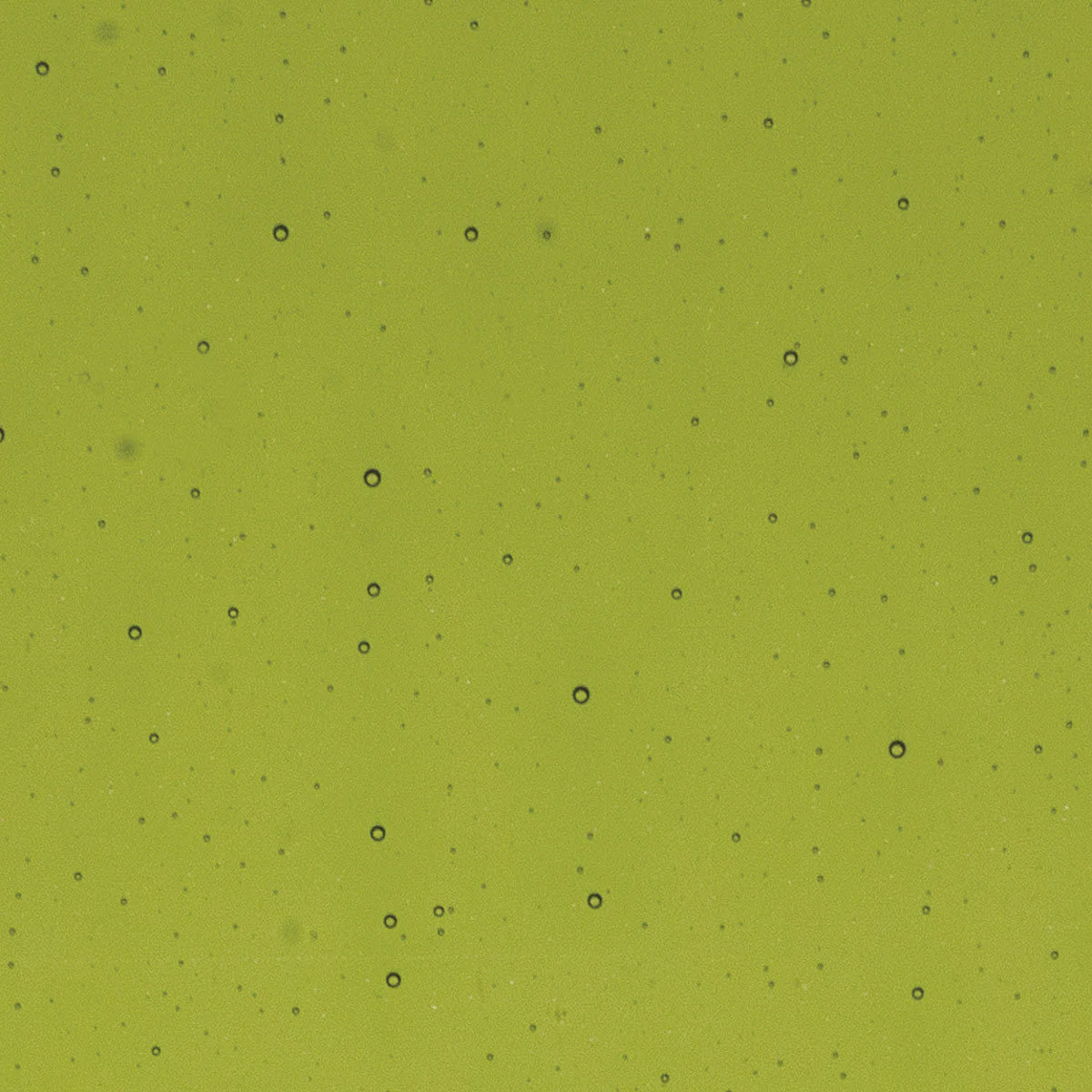 Lily Pad Green, 2 mm - Image 2