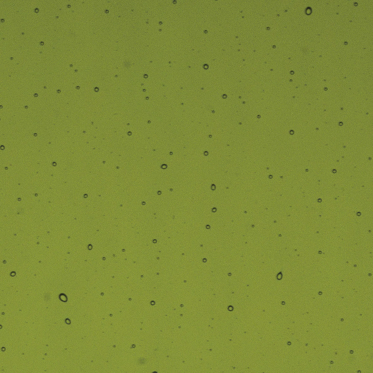 Lily Pad Green, 3m - Image 2