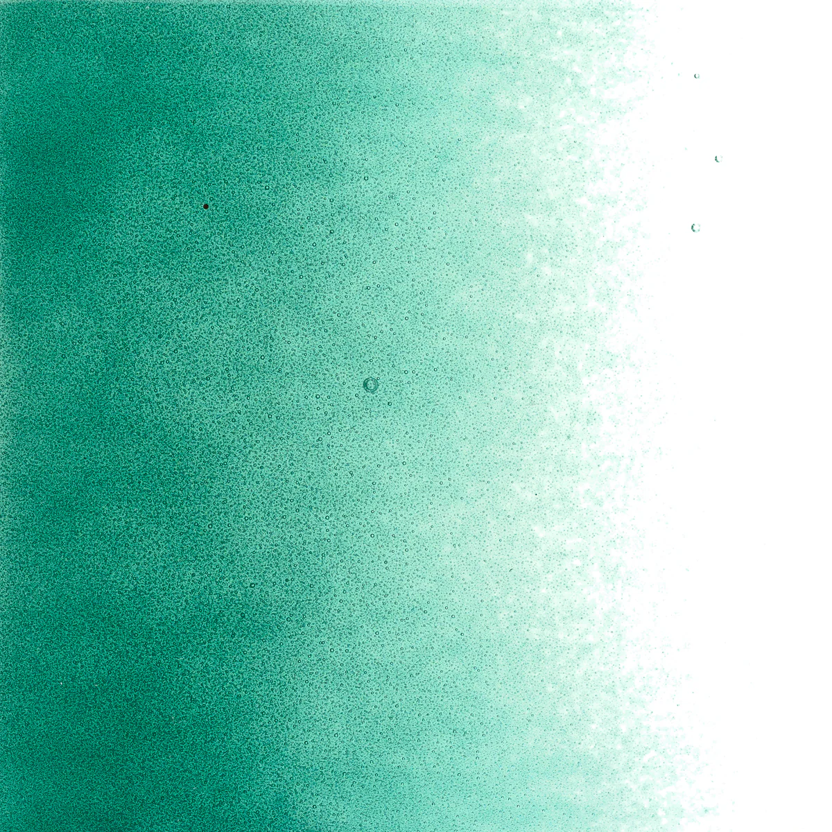 Lily Pad Green Transparent, Powder, 1 lb. - Image 2