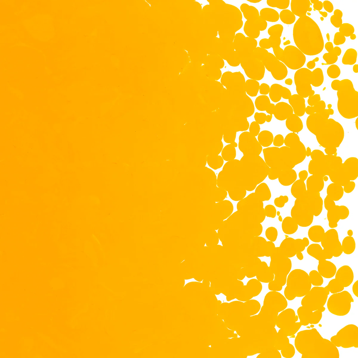 Marigold Yellow Opal Coarse, 1 lb. - Image 2