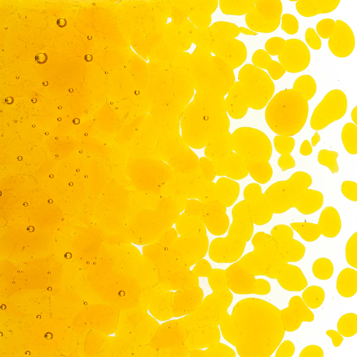 Marigold Yellow Transparent, Coarse, 1 lb. - Image 2