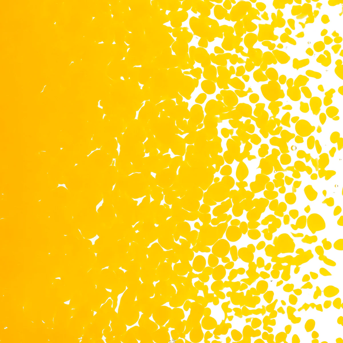 Marigold Yellow Opal, Medium, 1 lb. - Image 2