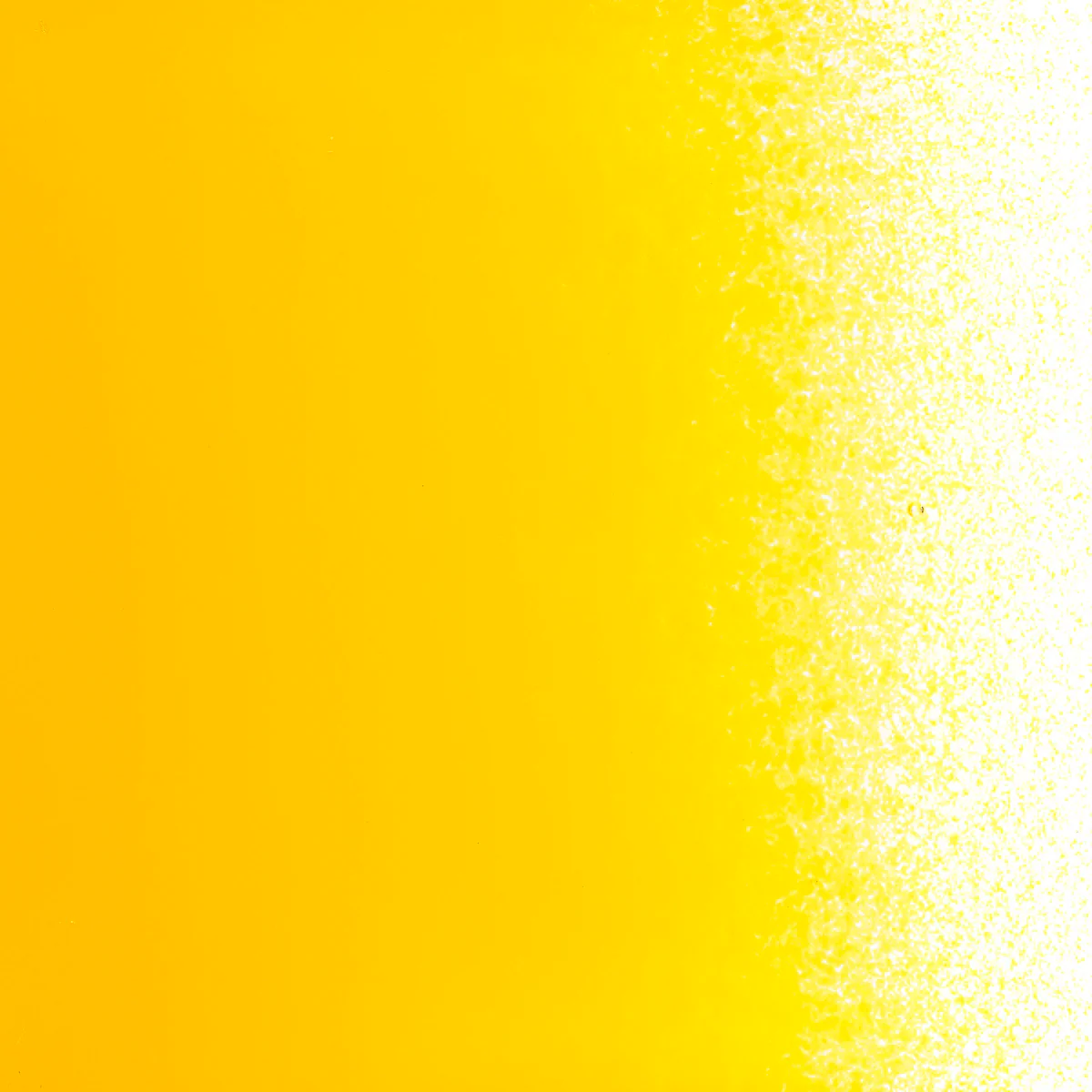 Marigold Yellow Opal, Powder, 1 lb. - Image 2