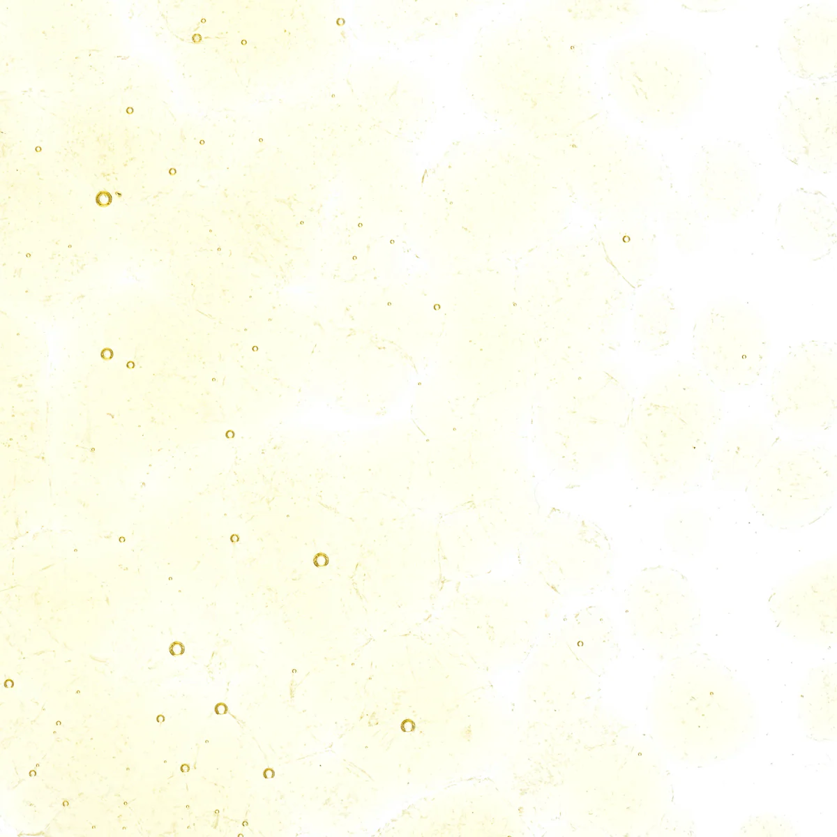 Medium Amber Tint, Coarse, 1 lb. - Image 2