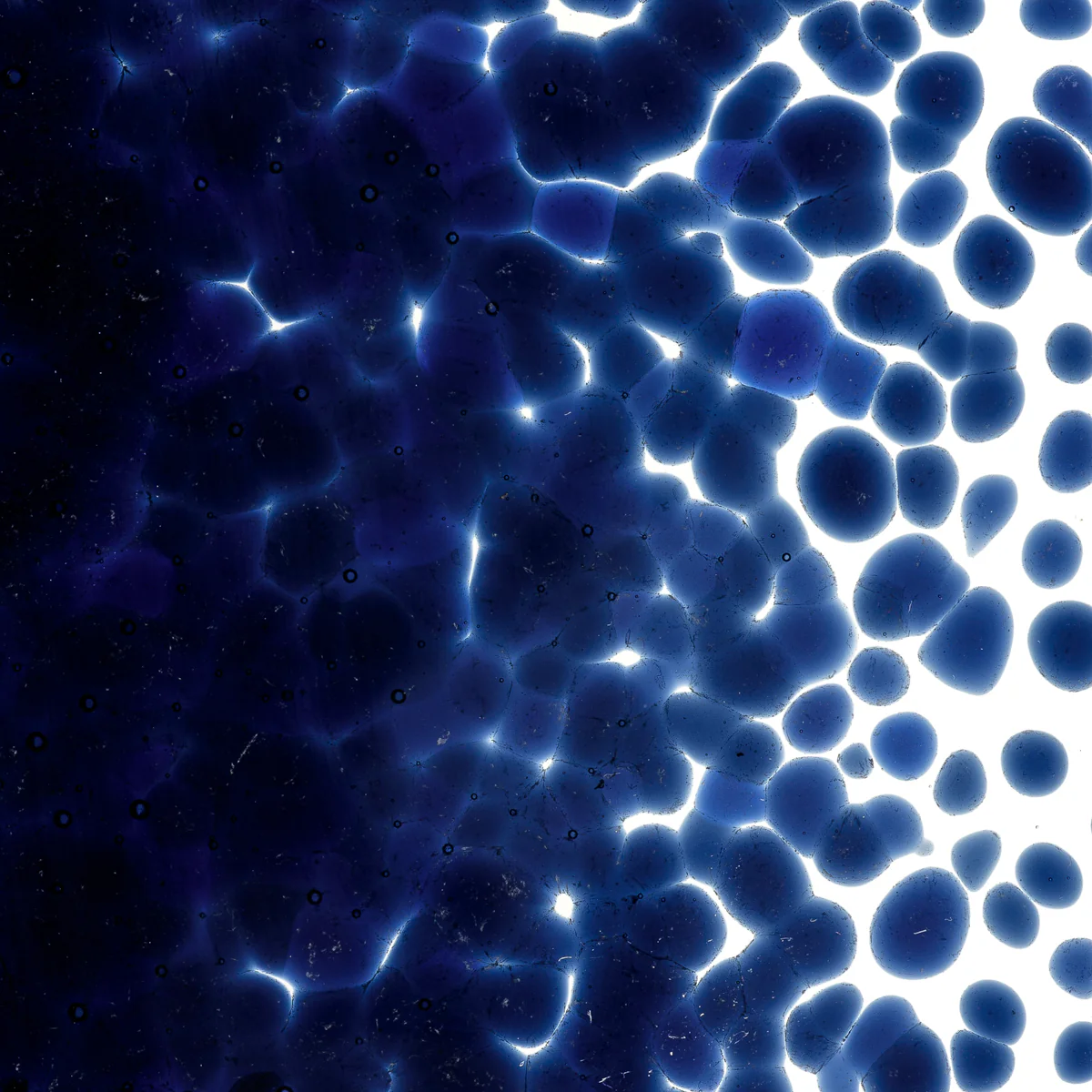 Midnight Blue Transparent, Coarse, 1 lb. - Image 2