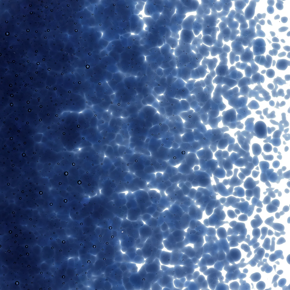 Midnight Blue Transparent, Medium, 1 lb. - Image 2