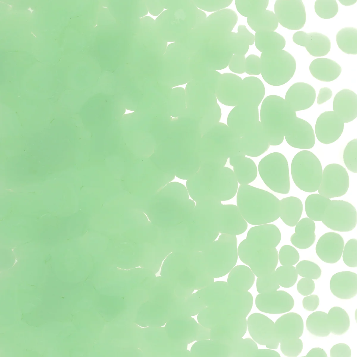 Mint Green Opalescent, Coarse, 1 lb. - Image 2