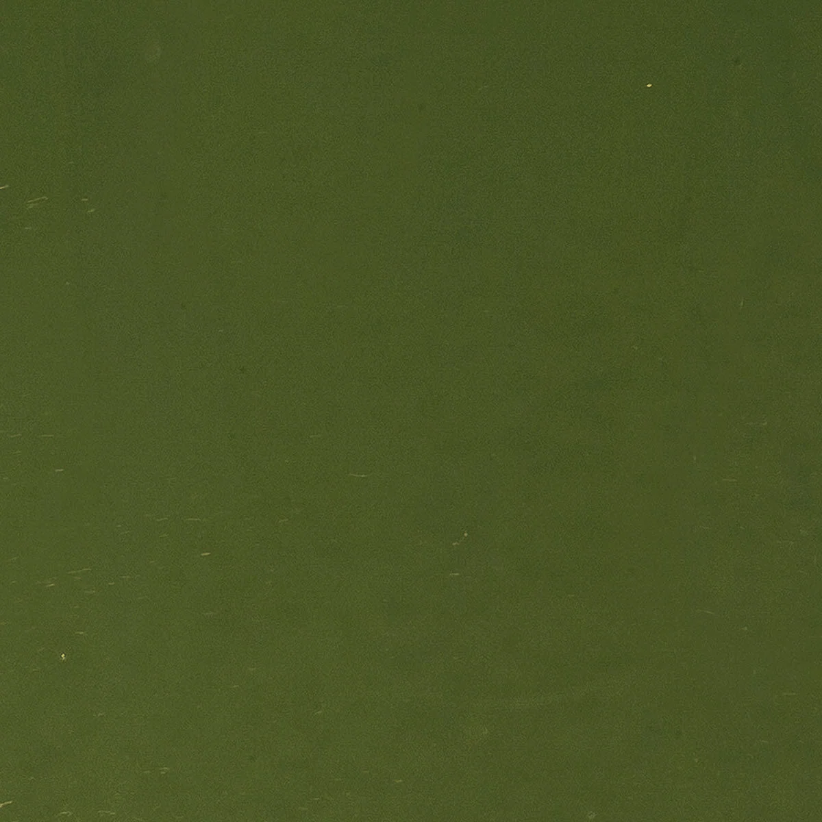 Moss Green, 2mm - Image 2