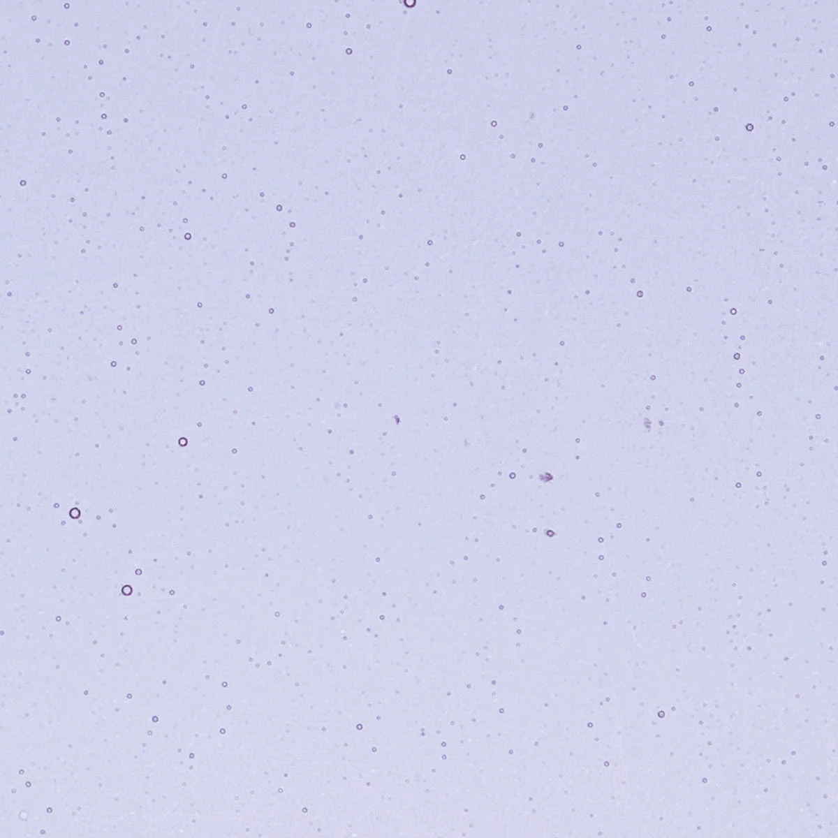 Neo-Lavender Shift, 2 mm - Image 2