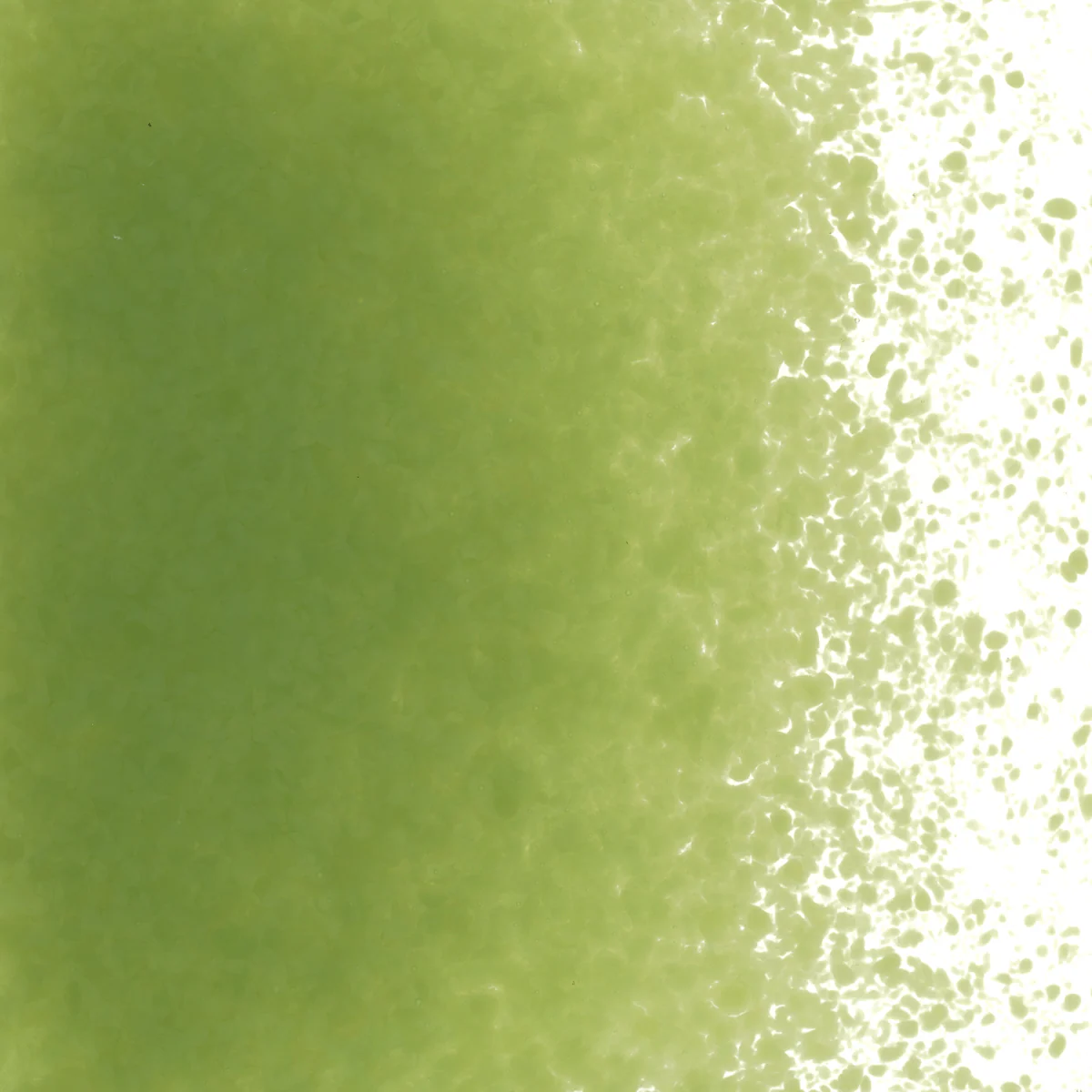 Olive Green Opalescent, Fine, 1 lb. - Image 2