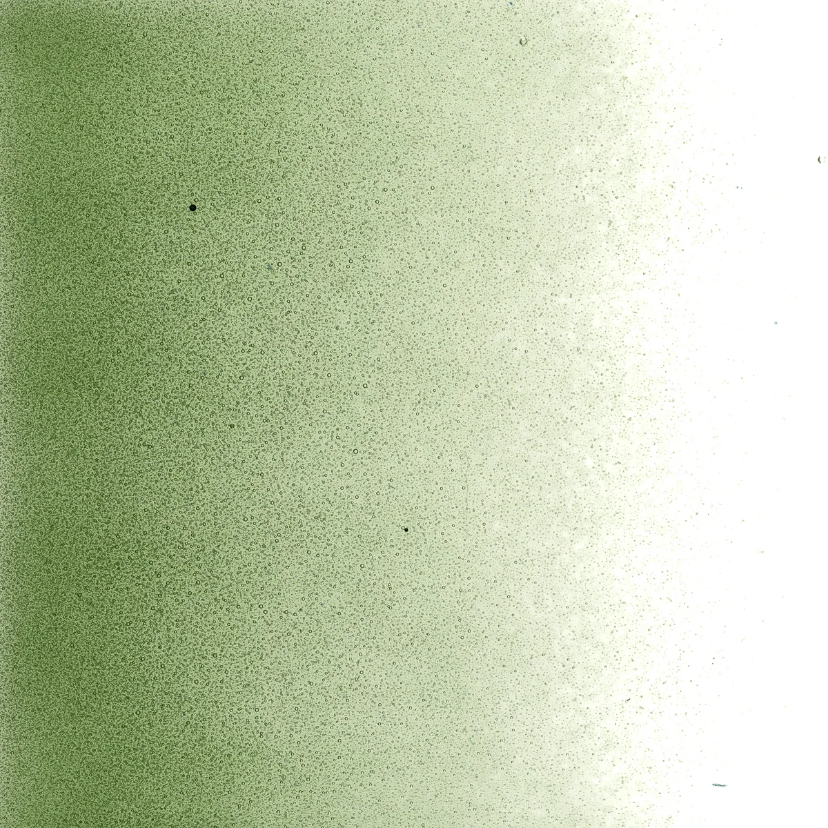 Olive Green Transparent, Powder, 1 lb. - Image 2
