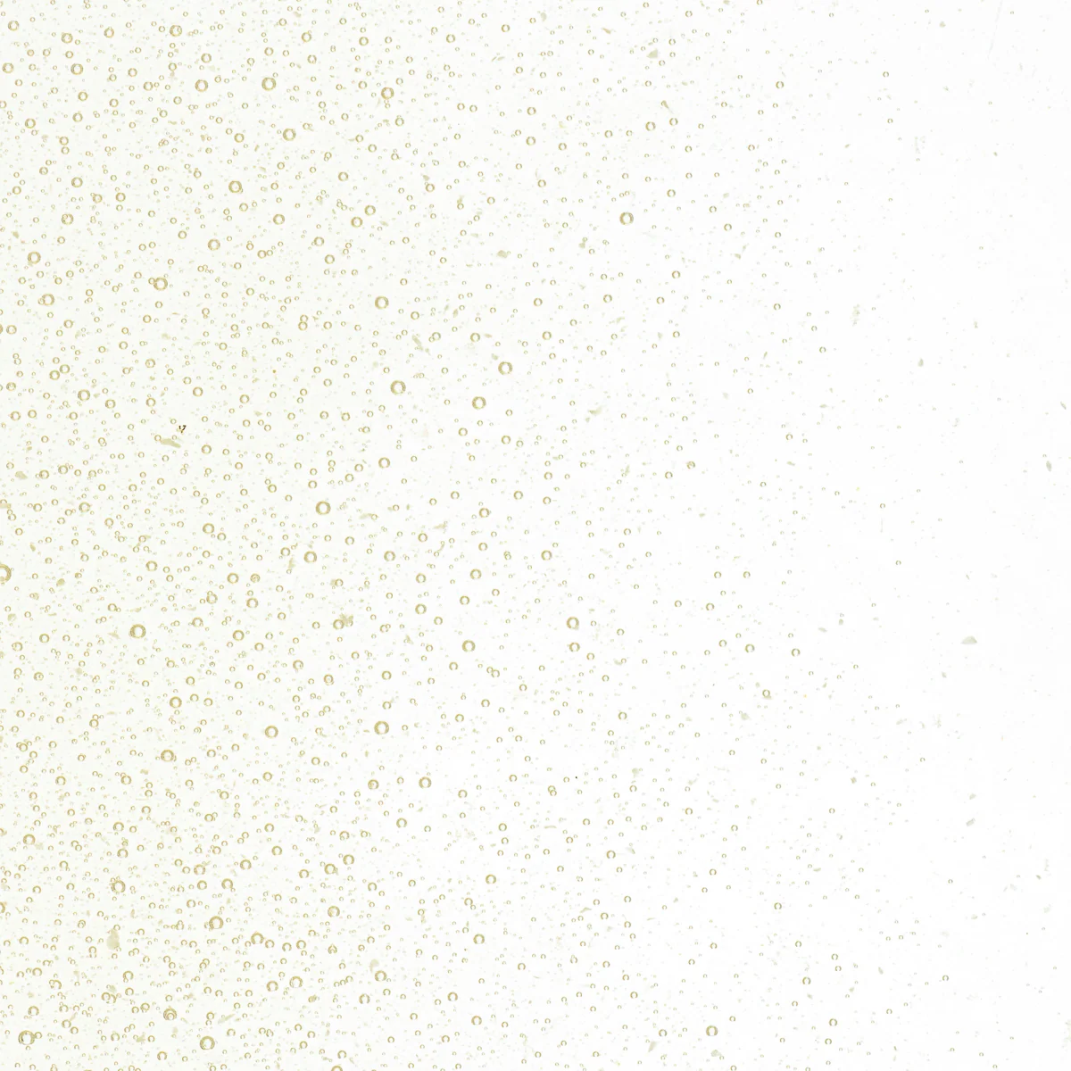 Olive Smoke Tint, Fine, 1 lb. - Image 2