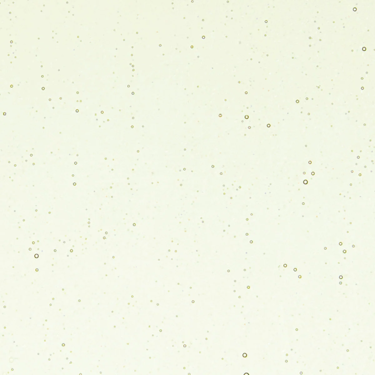 Olivine Tint, 3 mm - 10" square - Image 2