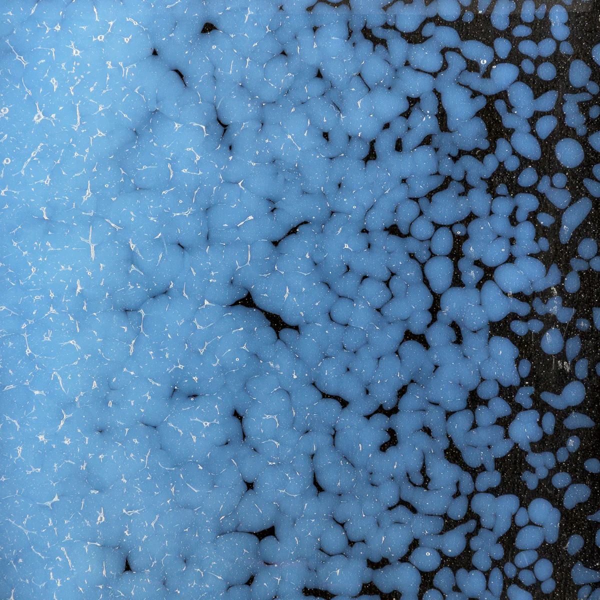 Opaline Opalescent, Medium, 1 lb. - Image 2