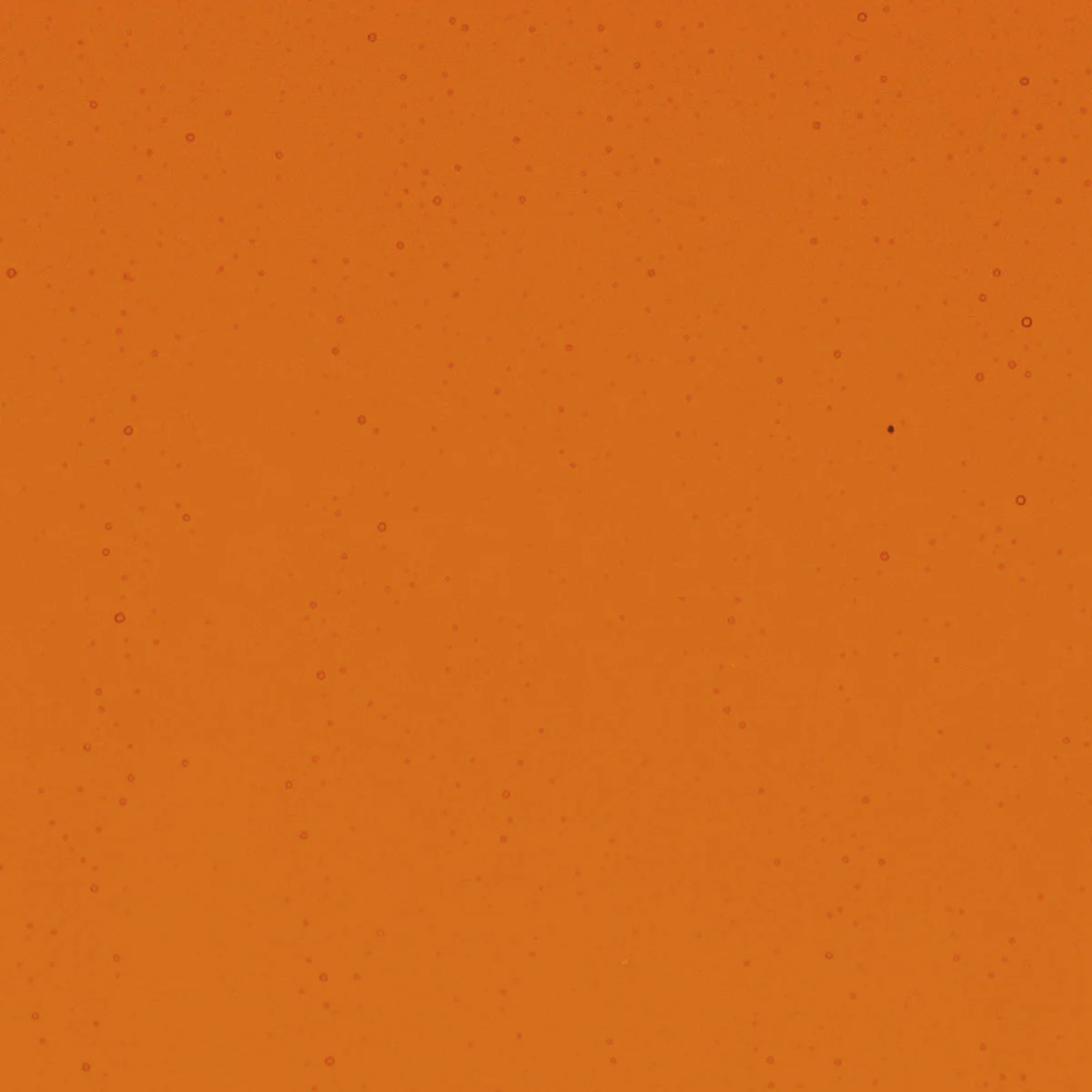 Orange, 2 mm - Image 2