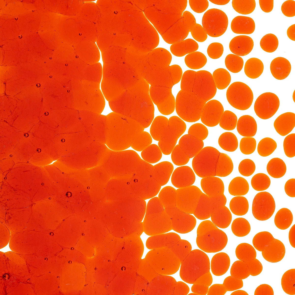 Orange Transparent, Coarse, 1 lb. - Image 2