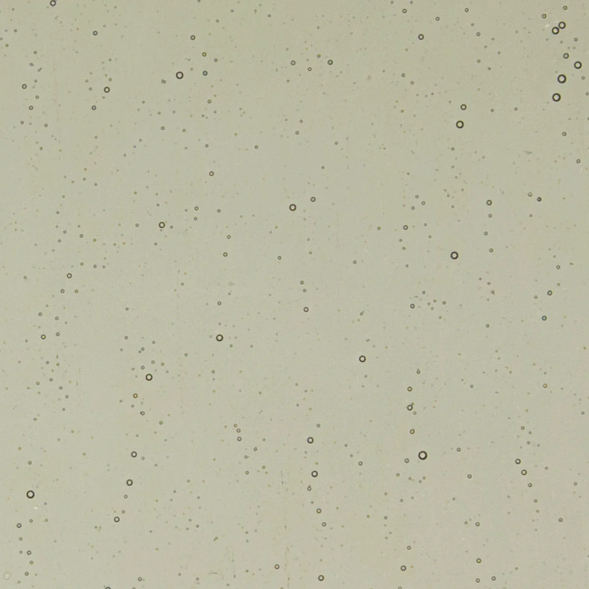 Oregon Gray, 3 mm - Image 2