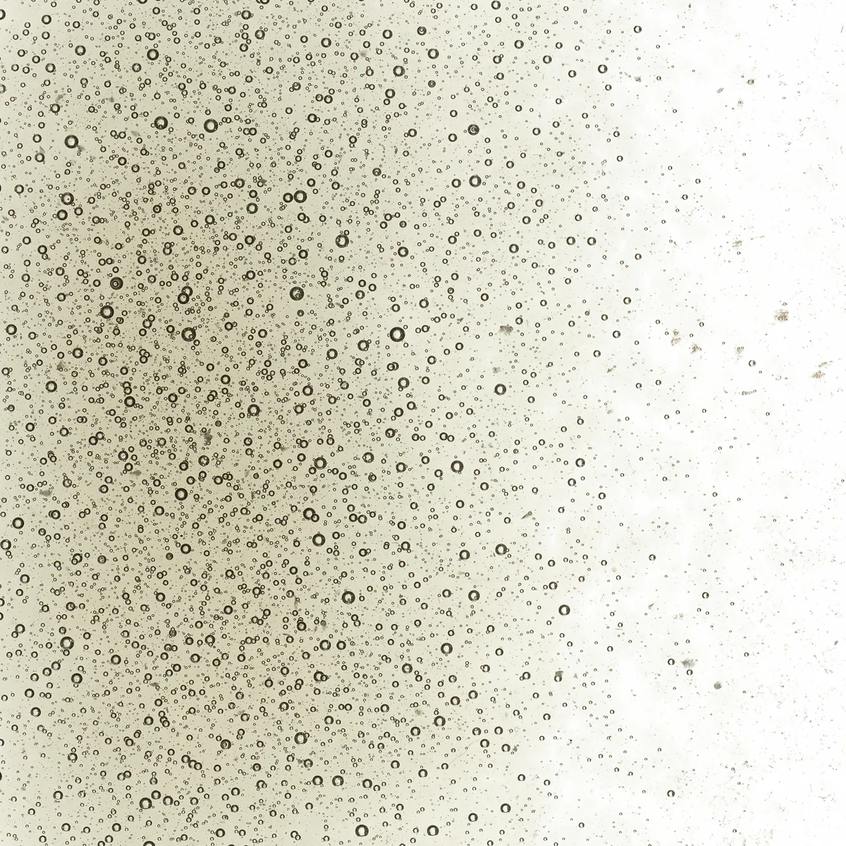 Oregon Gray Transparent, Fine, 1 lb. - Image 2