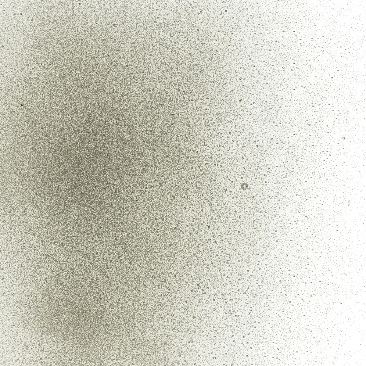 Oregon Gray Transparent, Powder, 1 lb. - Image 2