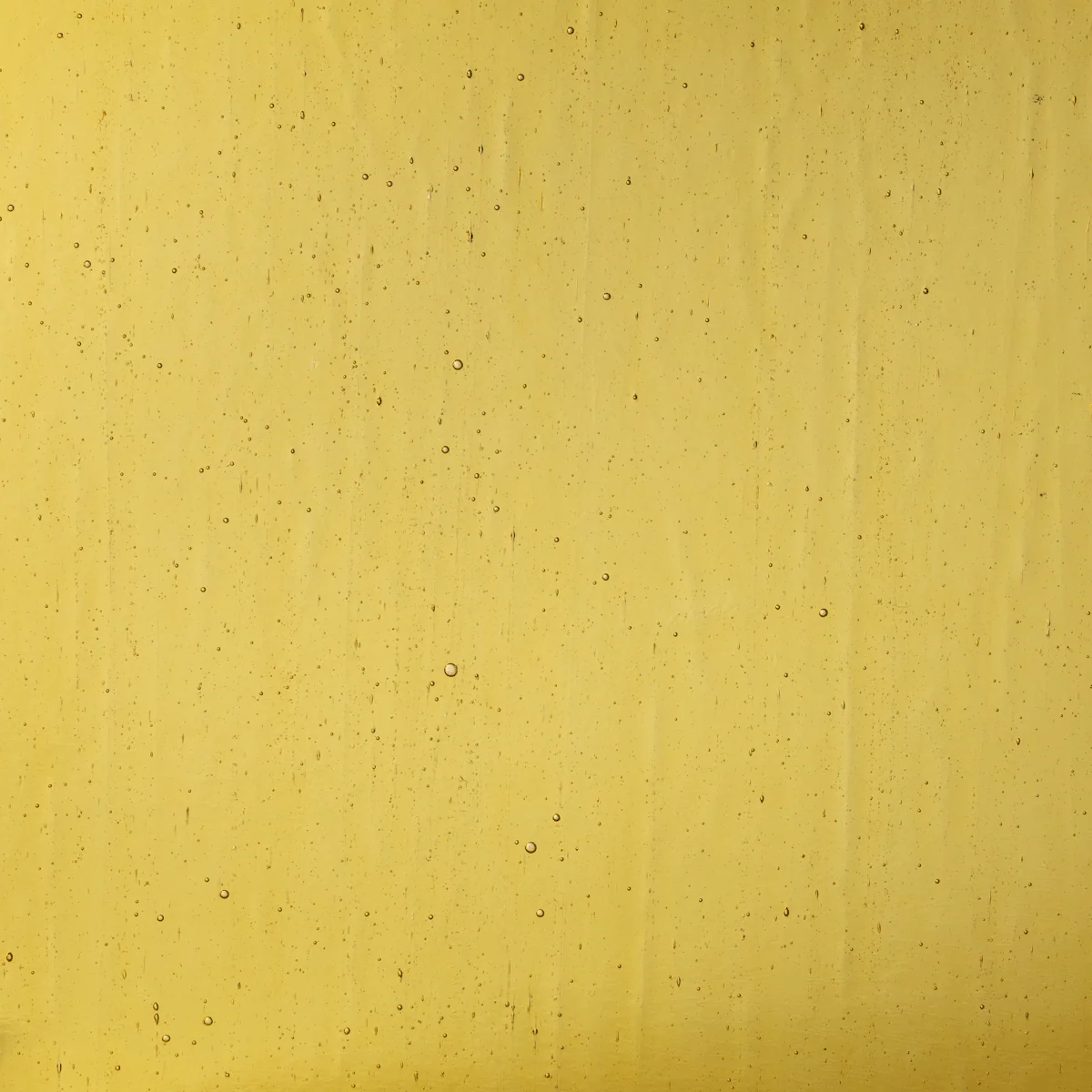 Harvest Gold Seedy