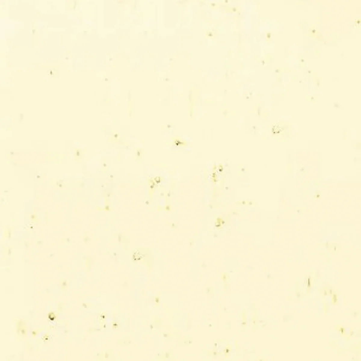 Pale Amber