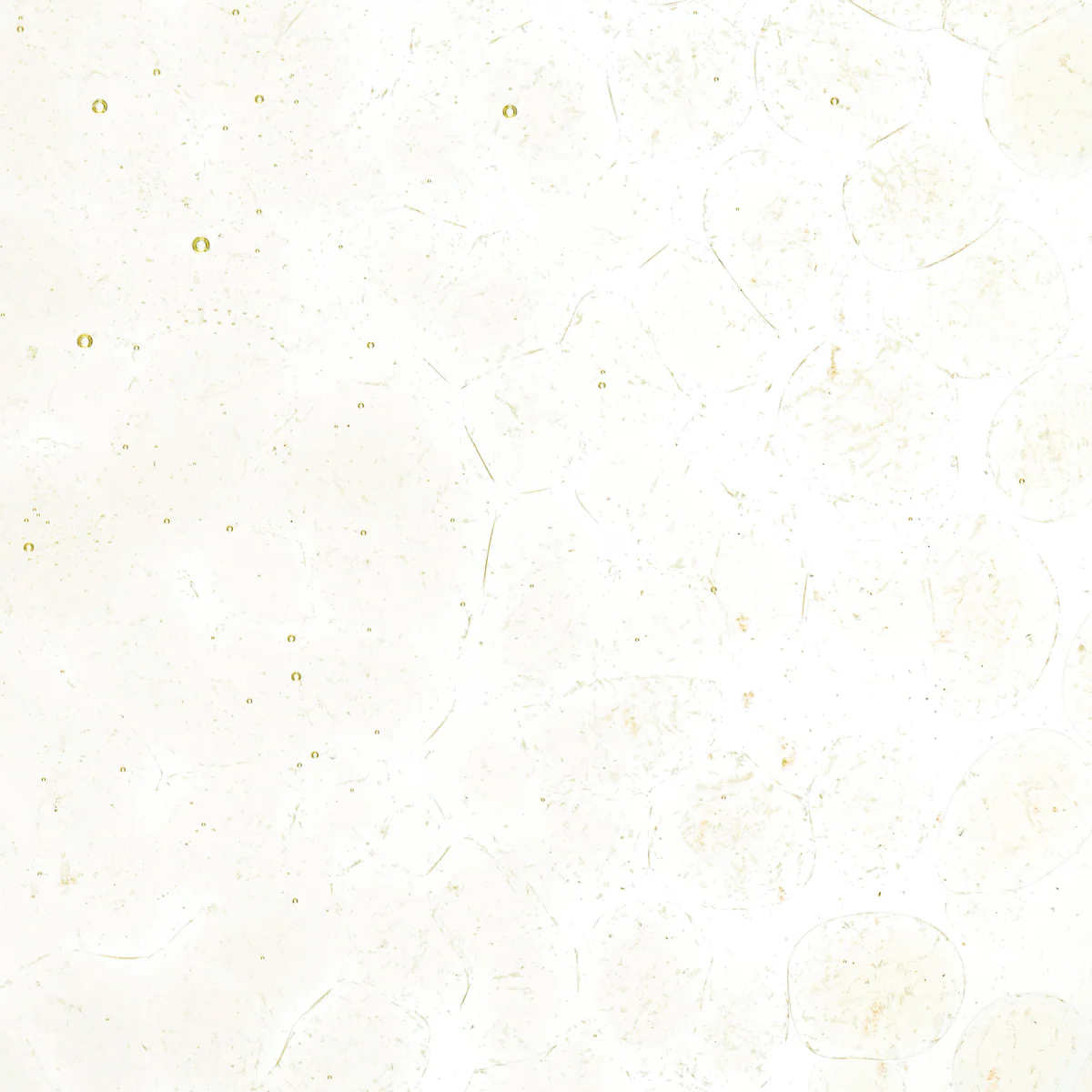 Pale Yellow Tint, Coarse, 1 lb. - Image 2