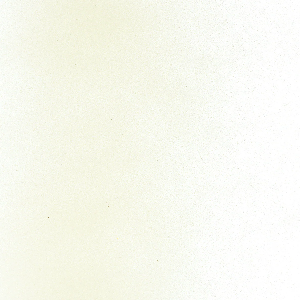 Pale Yellow Tint, Powder, 1 lb. - Image 2