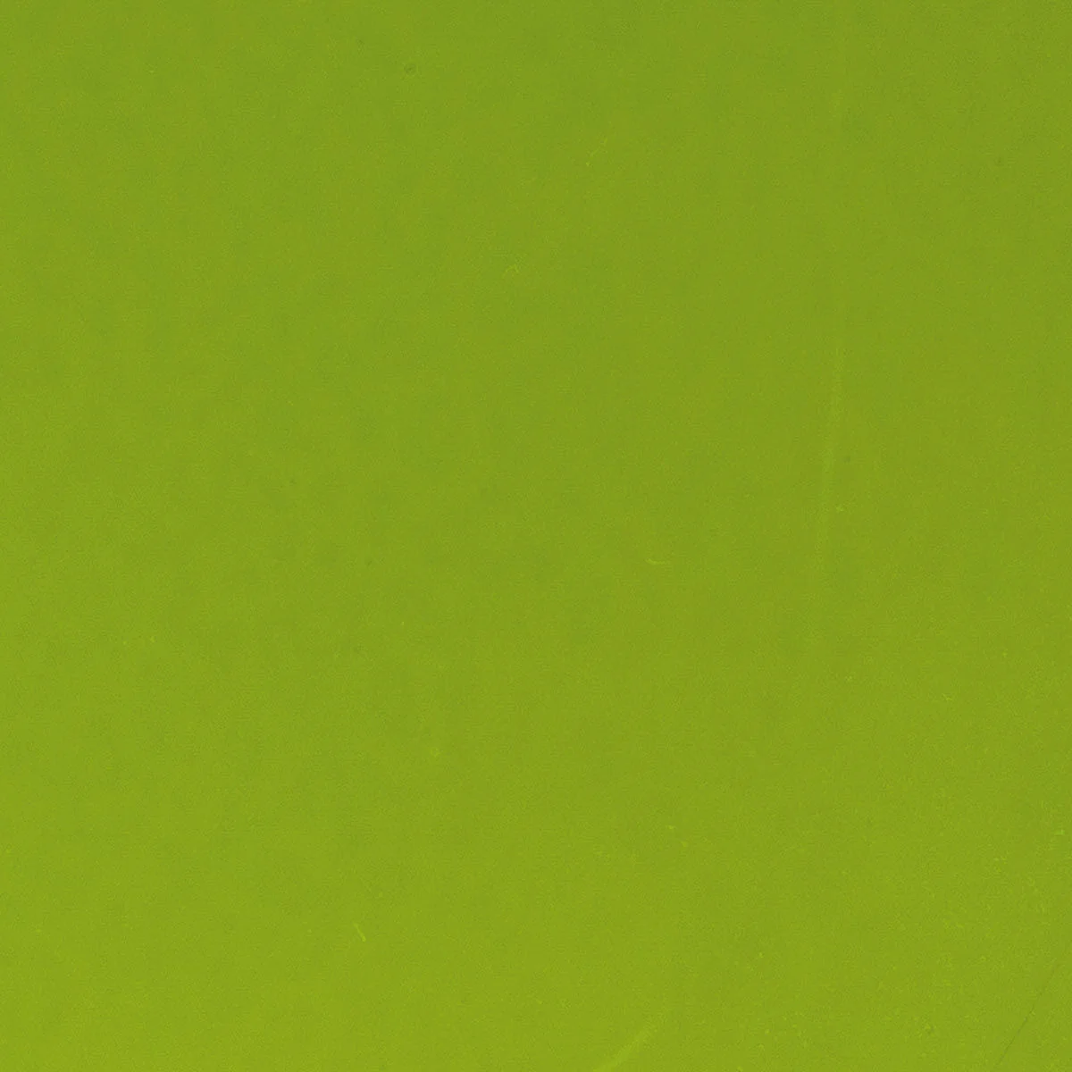 Pea Pod, 2 mm - Image 2