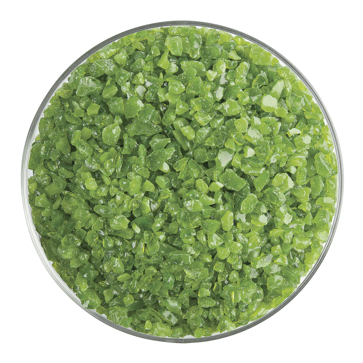 Pea Pod Opalescent, Coarse, 1 lb.