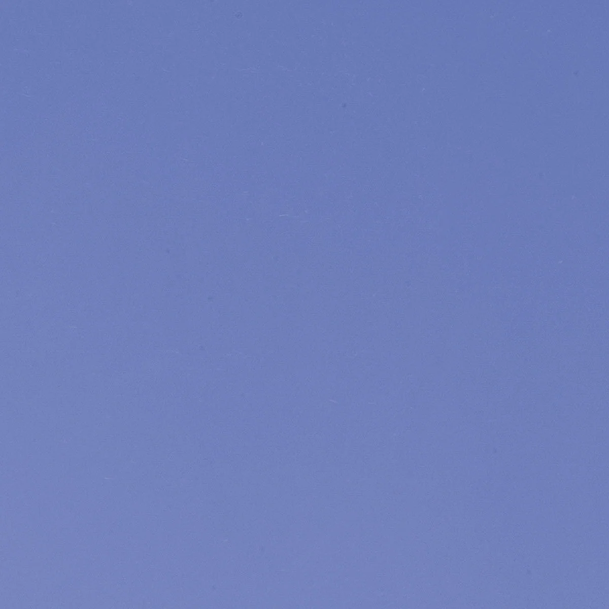 Periwinkle, 3 mm - Image 2