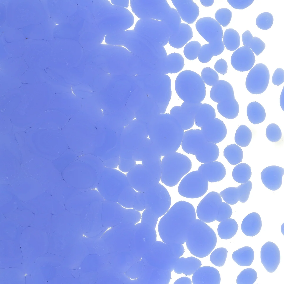 Periwinkle Opalescent, Coarse, 1 lb. - Image 2