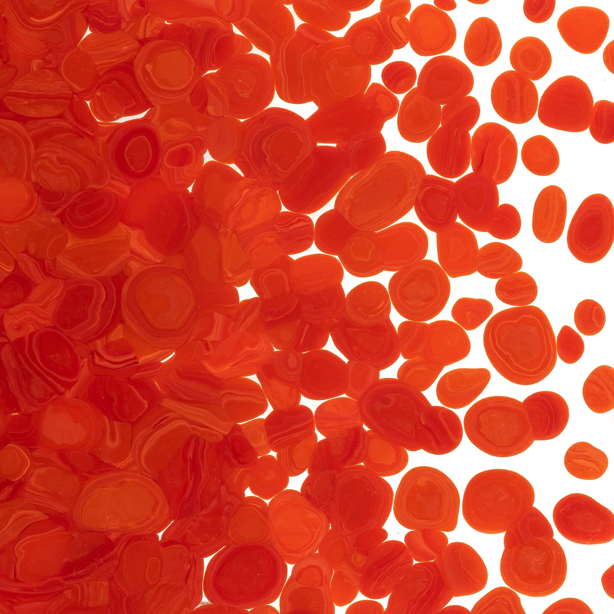 Pimento Red Opalescent, Coarse, 1 lb. - Image 2