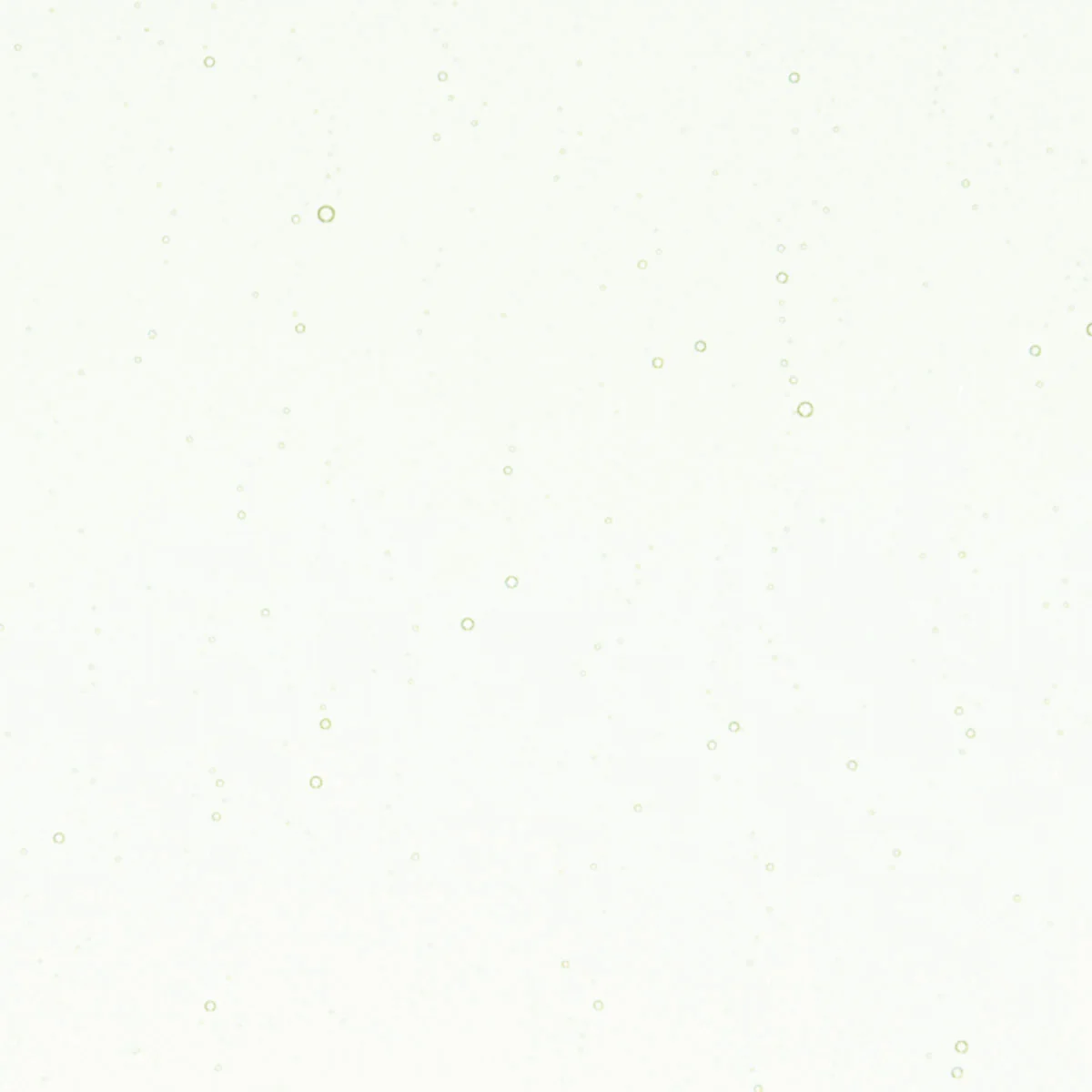 Pine Green Tint, 3mm - Image 2