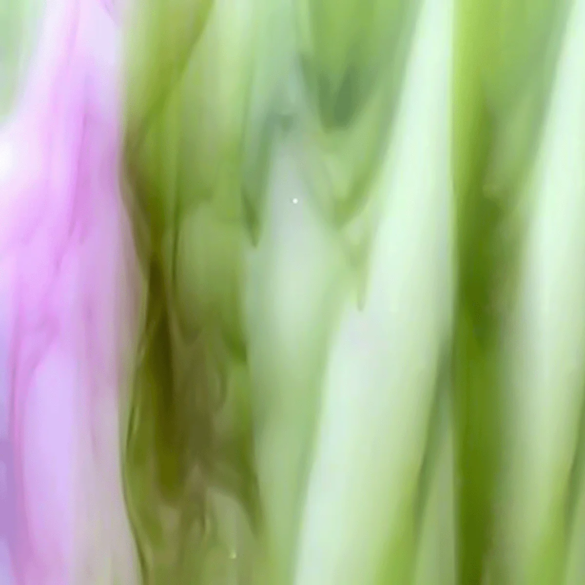 Pink/Green Mix
