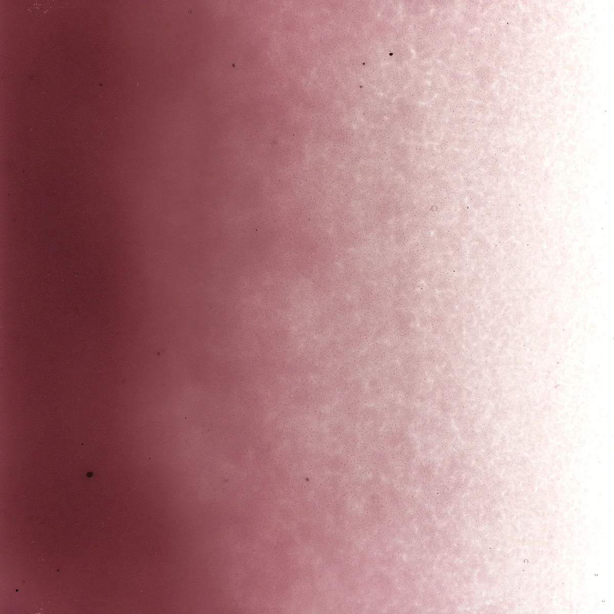 Plum Opalescent, Powder, 1 lb. - Image 2