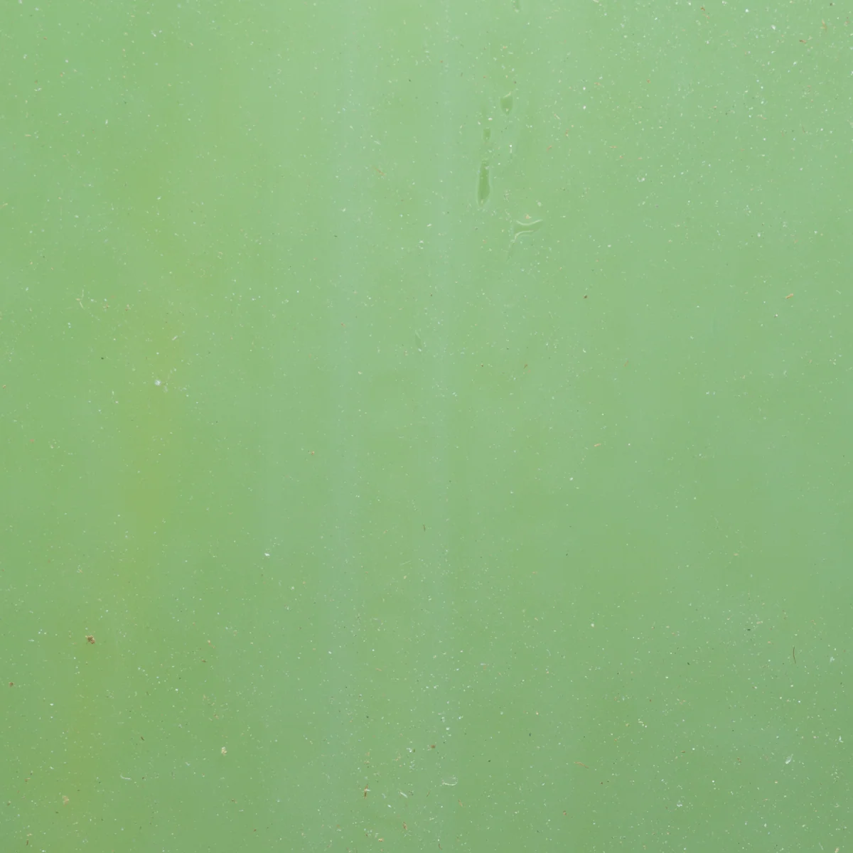 Prisma Dark Green Opal/Clear