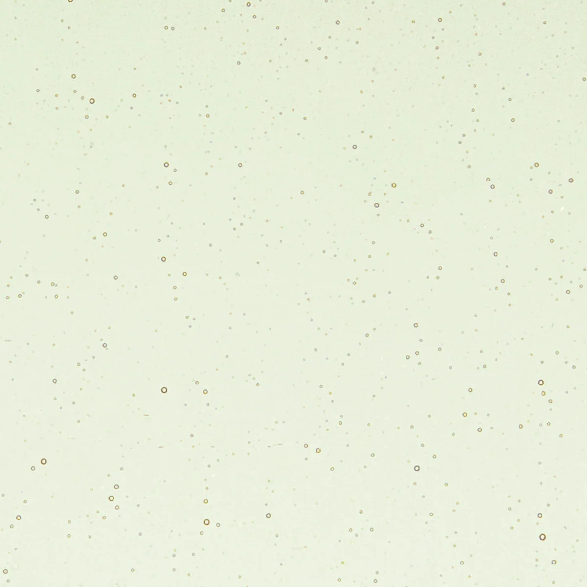 Rhubarb Shift Tint, 3 mm - 10" square - Image 2