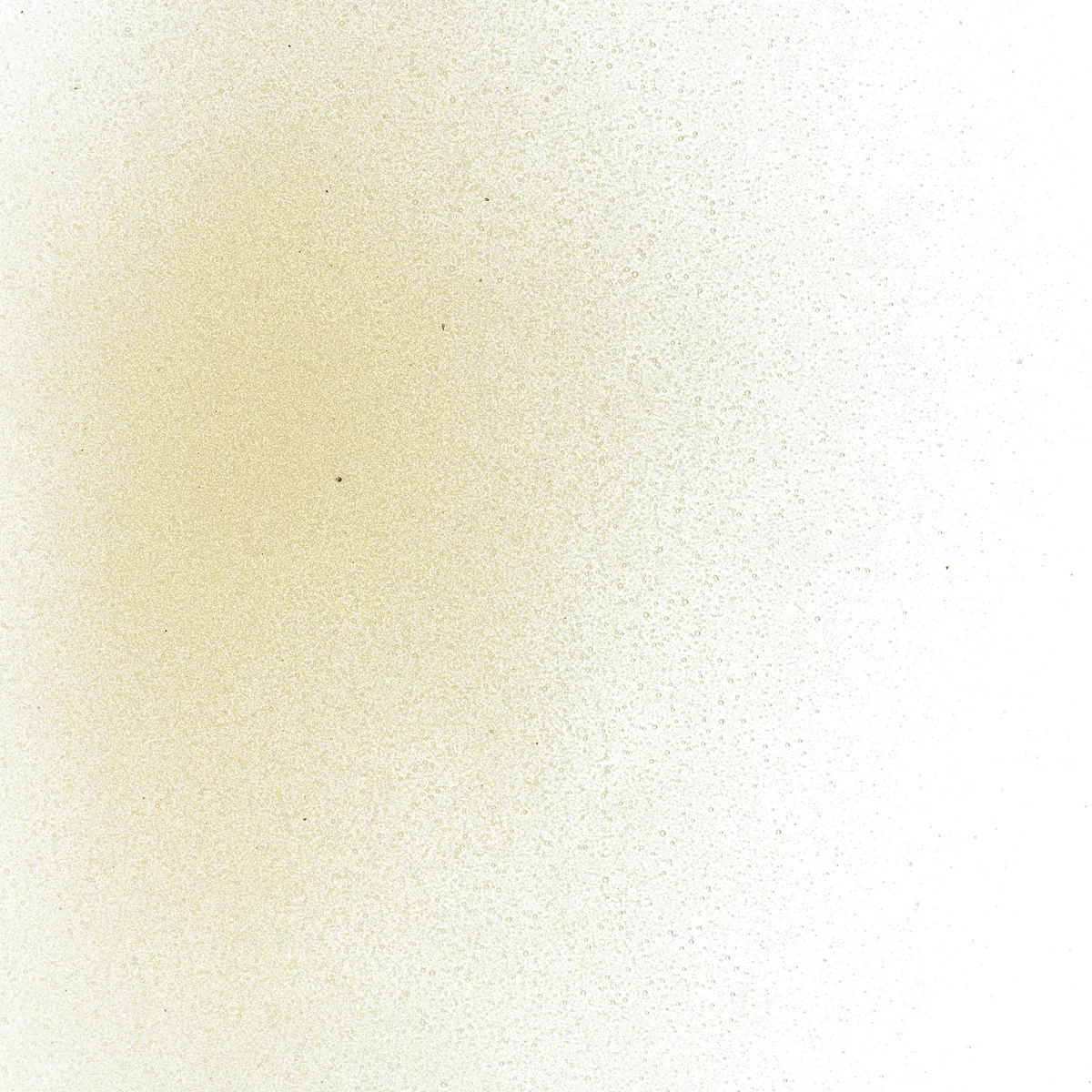 Rhubarb Shift Tint, Powder, 1 lb. - Image 2