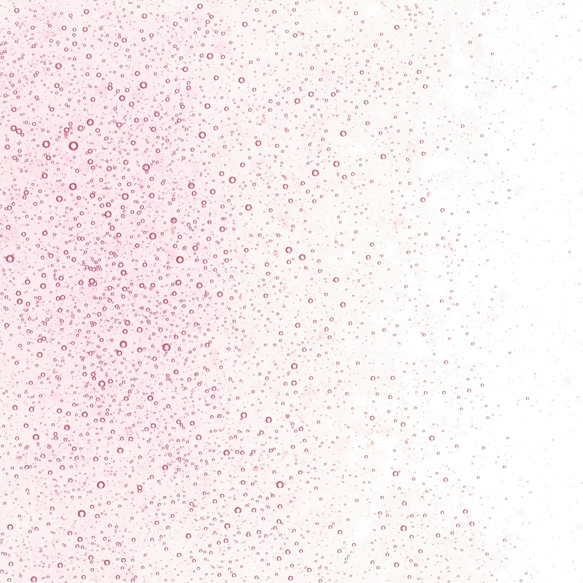 Ruby Pink Tint, Fine, 1 lb. - Image 2