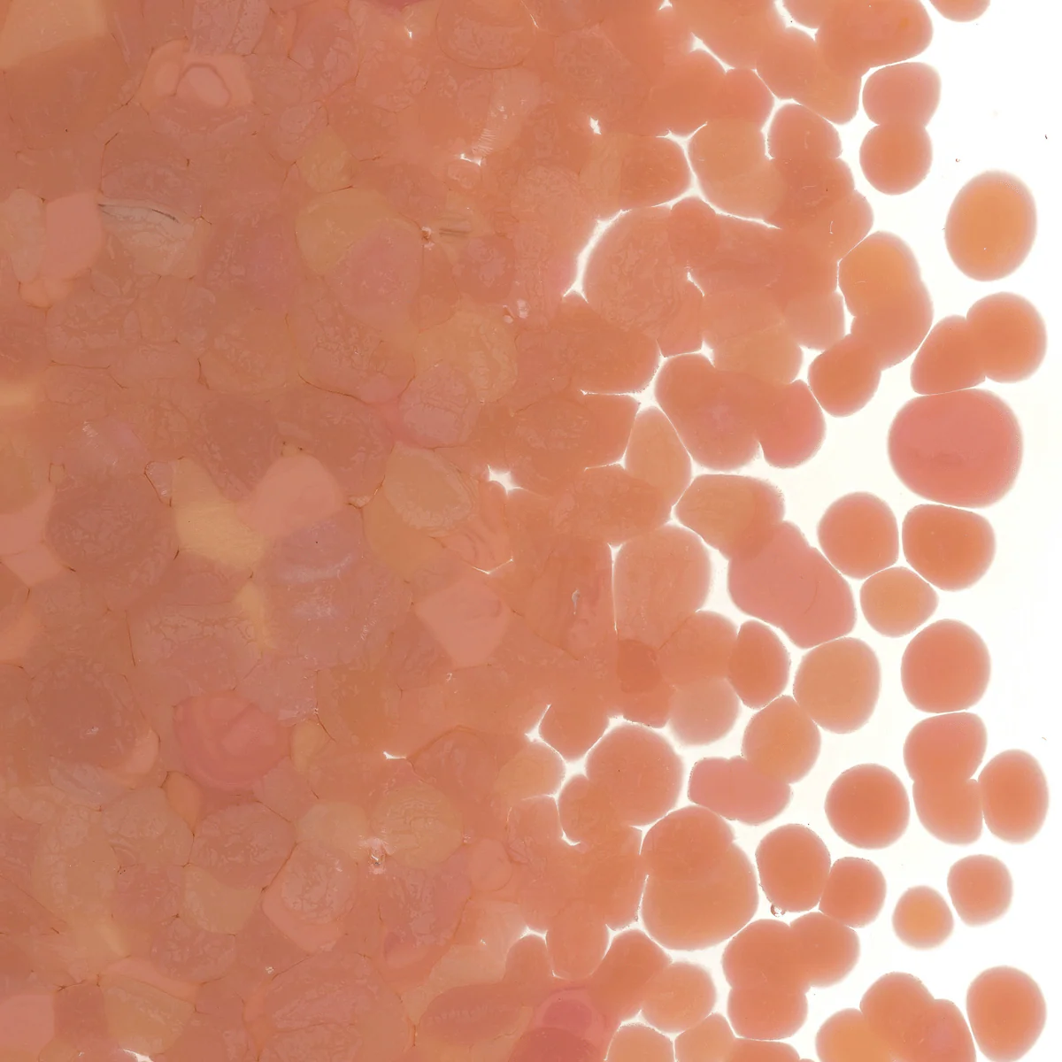 Salmon Pink Opalescent, Coarse, 1 lb. - Image 2