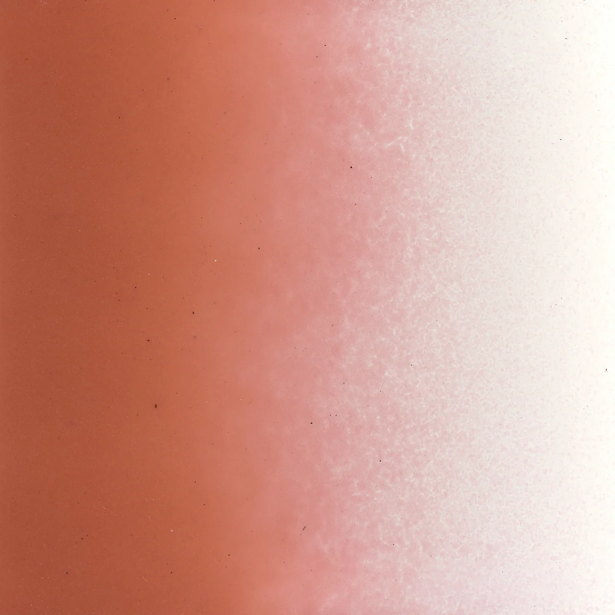 Salmon Pink Opalescent, Powder 1 lb. - Image 2