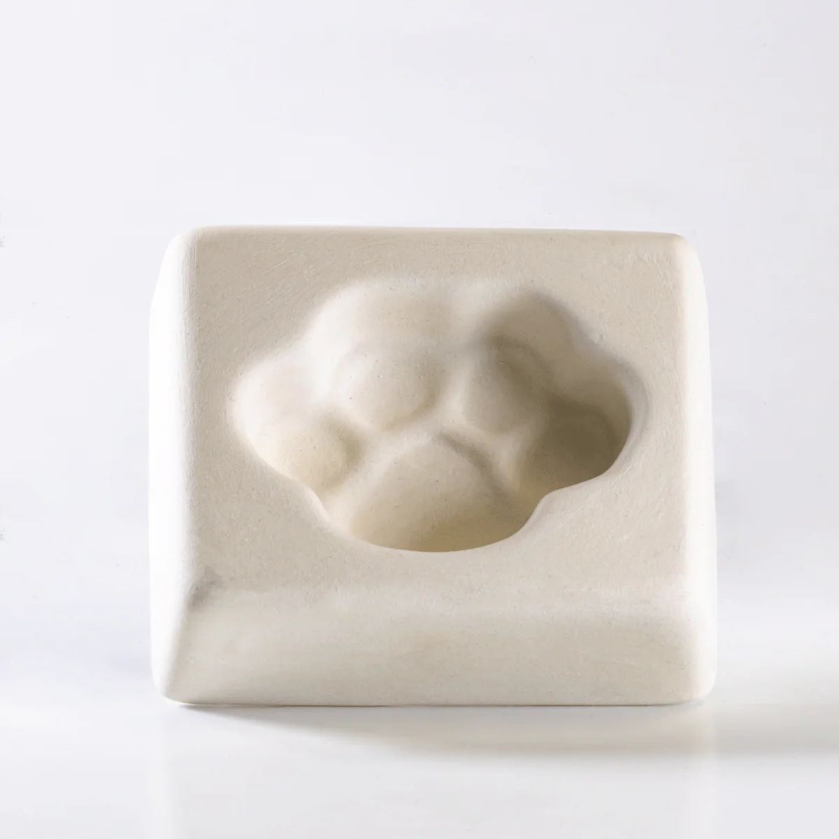 Paw Print Casting Mold