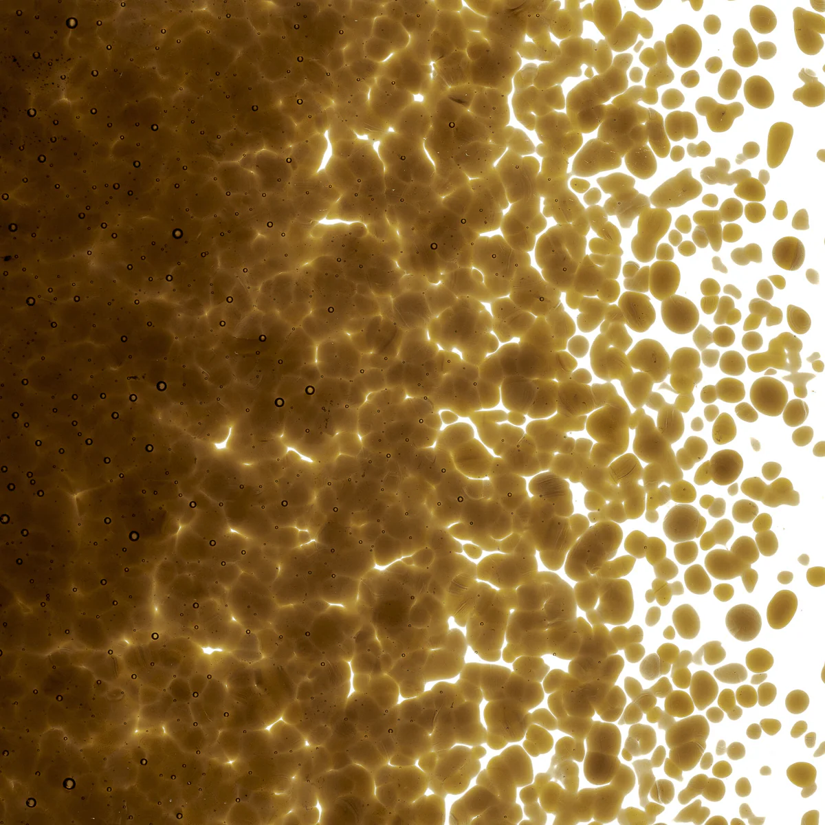 Sienna Transparent, Medium, 1 lb. - Image 2