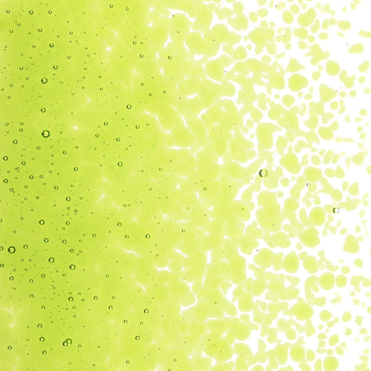 Spring Green Transparent, Medium, 1 lb. - Image 2