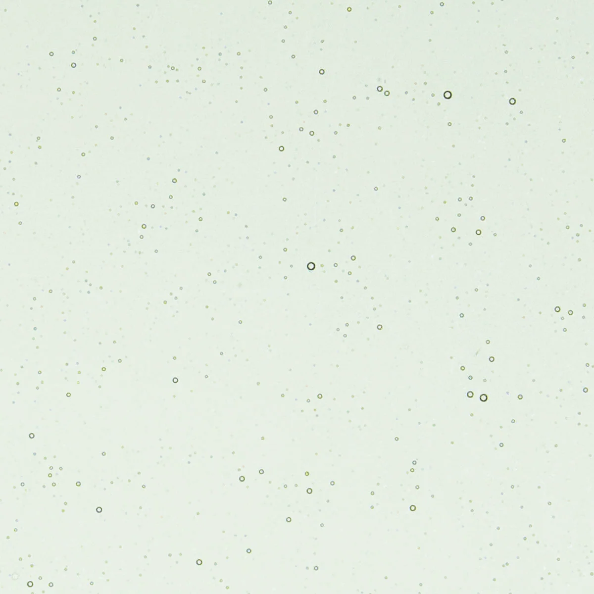 Spruce Green Tint, 3 mm - Image 2