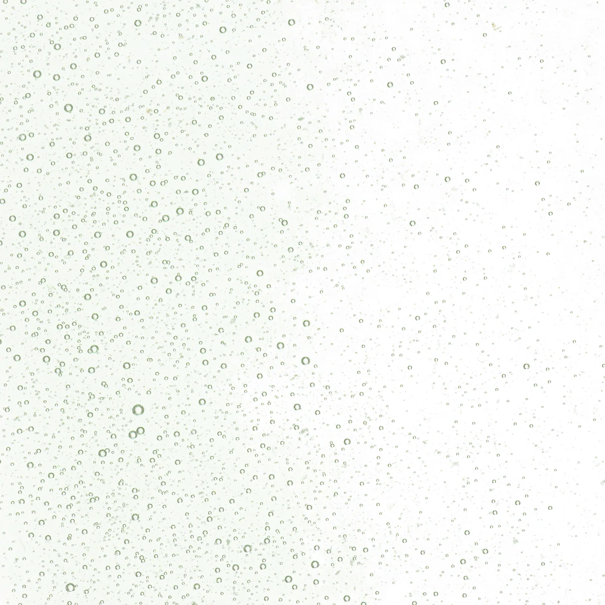 Spruce Green Tint, Fine, 1 lb. - Image 2