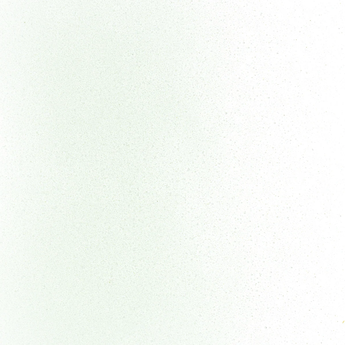 Spruce Green Tint, Powder, 1 lb. - Image 2